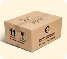 Courier and express delivery bags