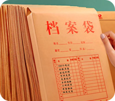 Confidential document pouches