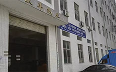 2006