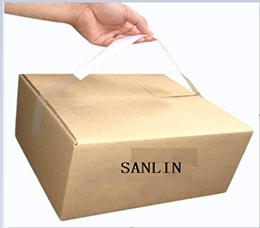 Courier and express delivery bags